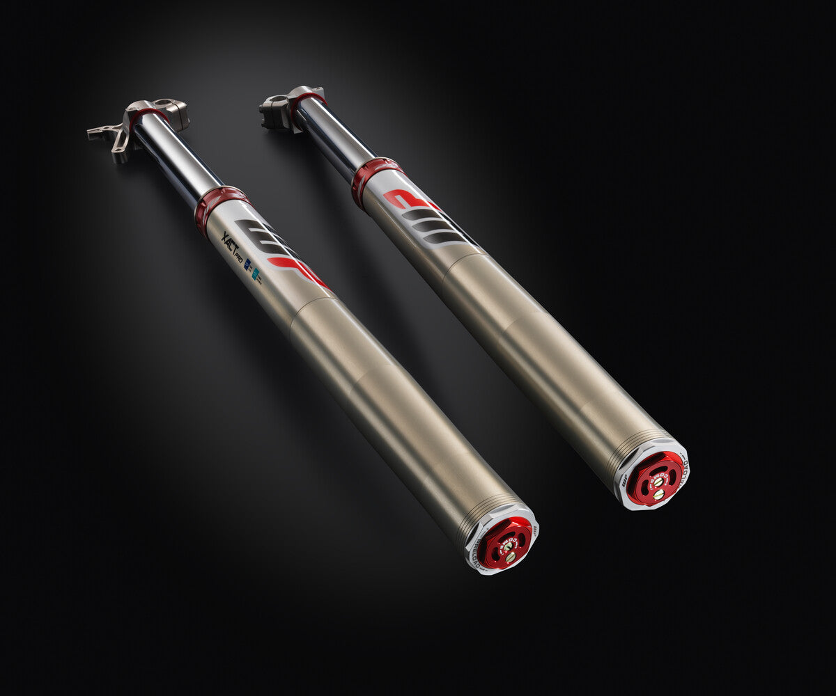 wp cone valve forks