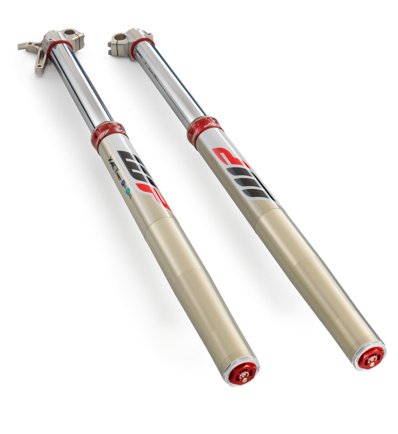 wp cone valve forks