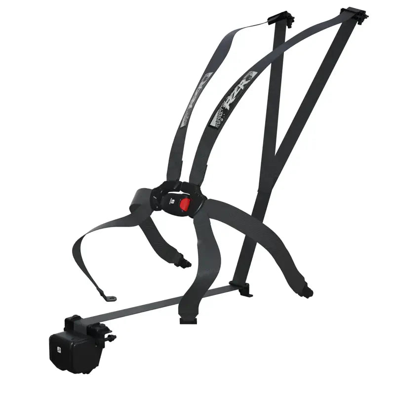 2024 RZR XP 1000 4-Seater Click 6 Harness
