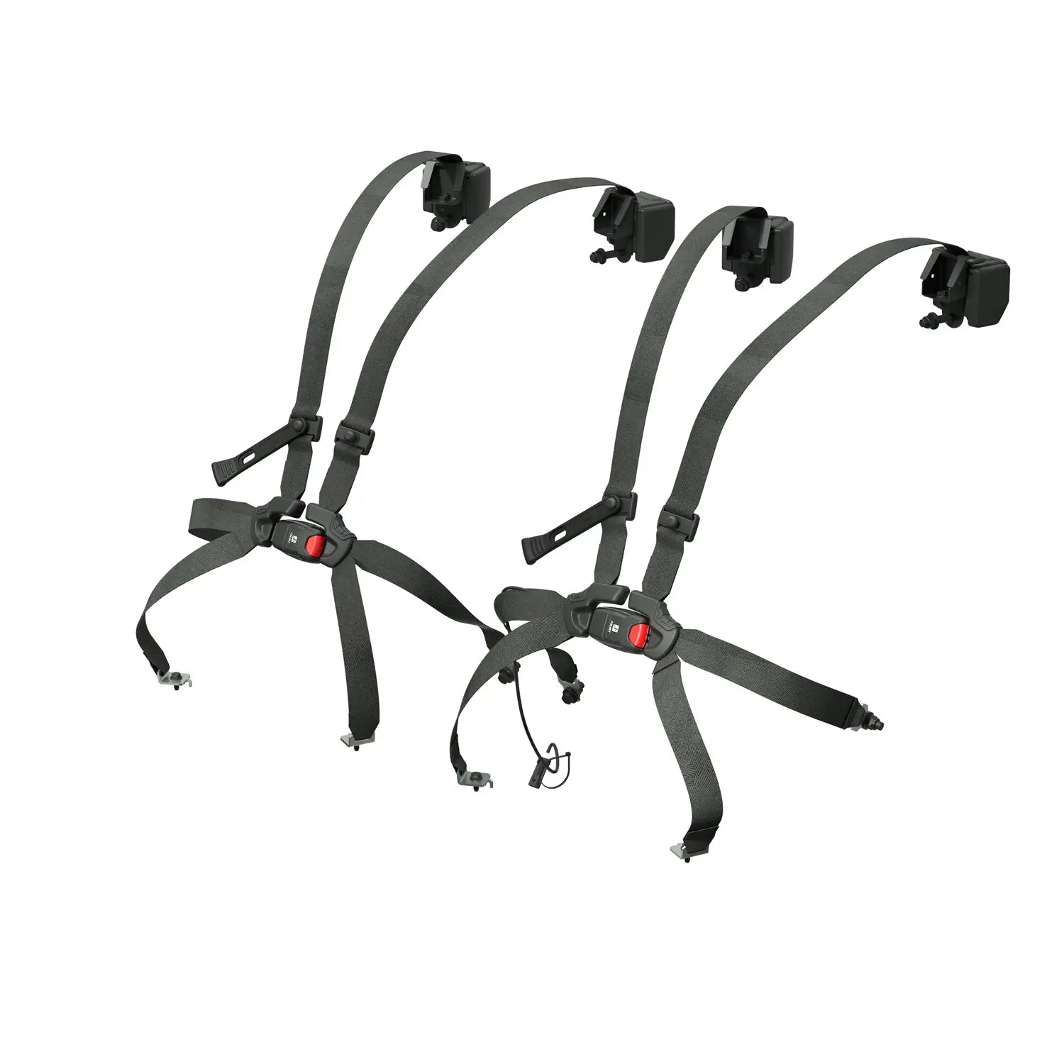2024+ RZR XP 1000 4 /  XP S 4-Seater Click 6 Harness