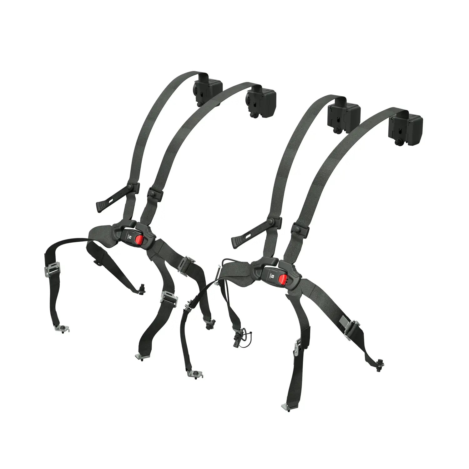2024+ RZR XP 1000 4 /  XP S 4-Seater Click 6 Harness
